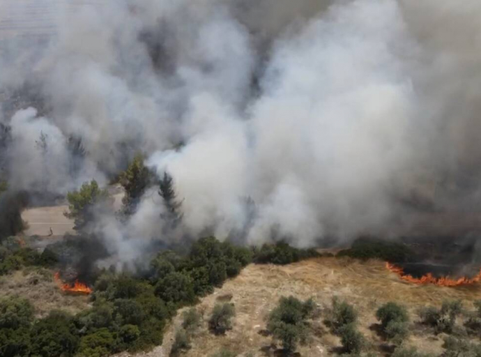 Πυρκαγιές: Προσαγωγή 14χρονου για τις φωτιές σε Θεολόγο και Αταλάντη