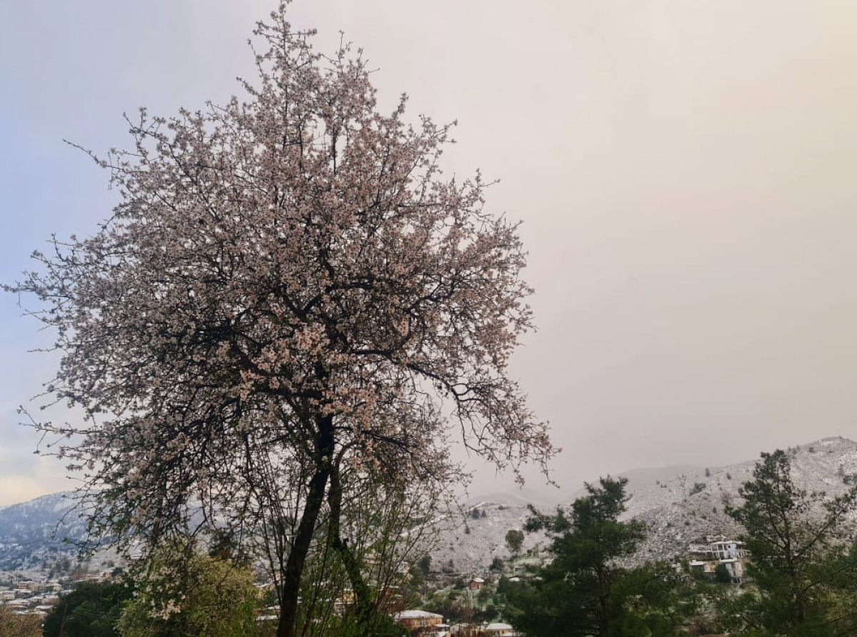 Παραμένει ο χειμώνας με χαμηλές θερμοκρασίες και παροδικά φαινόμενα μέχρι Τρίτη 15 Μαρτίου