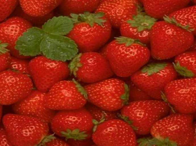 ΗΠΑ - Ηπατίτιδα Α: βιολογικές φράουλες θεωρούνται “ύποπτες” για την εξάπλωση της νόσου