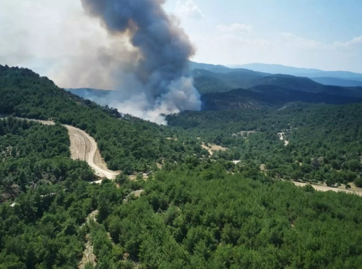 Φωτιά στο δάσος της Δαδιάς: Άρχισε να βρέχει στον Έβρο