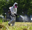 Δήμος Λεμεσού: Ξεκινούν οι ψεκασμοί για την καταπολέμηση των κουνουπιών