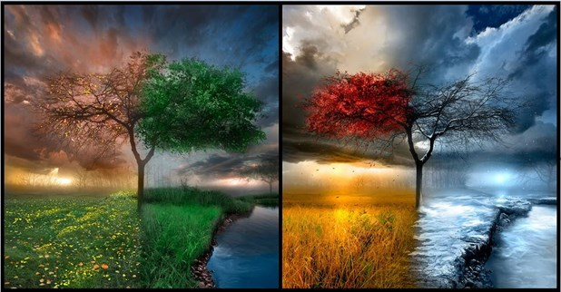 4 SEASONS