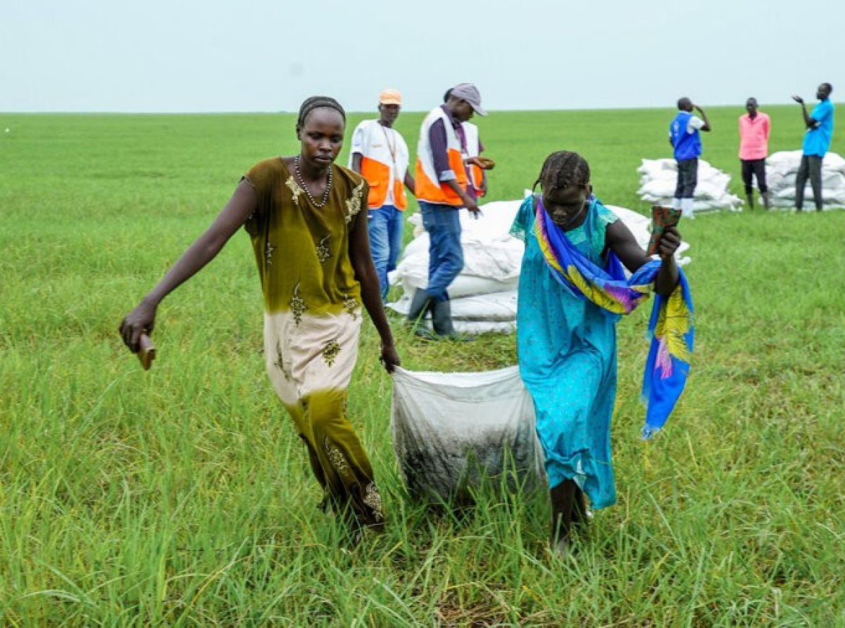 Νότιο Σουδάν – Η Πείνα Καλπάζει: Συγκρούσεις, Κλιματικές Καταστροφές και Περικοπές Χρηματοδότησης Πυροδοτούν Ανθρωπιστικό Εφιάλτη