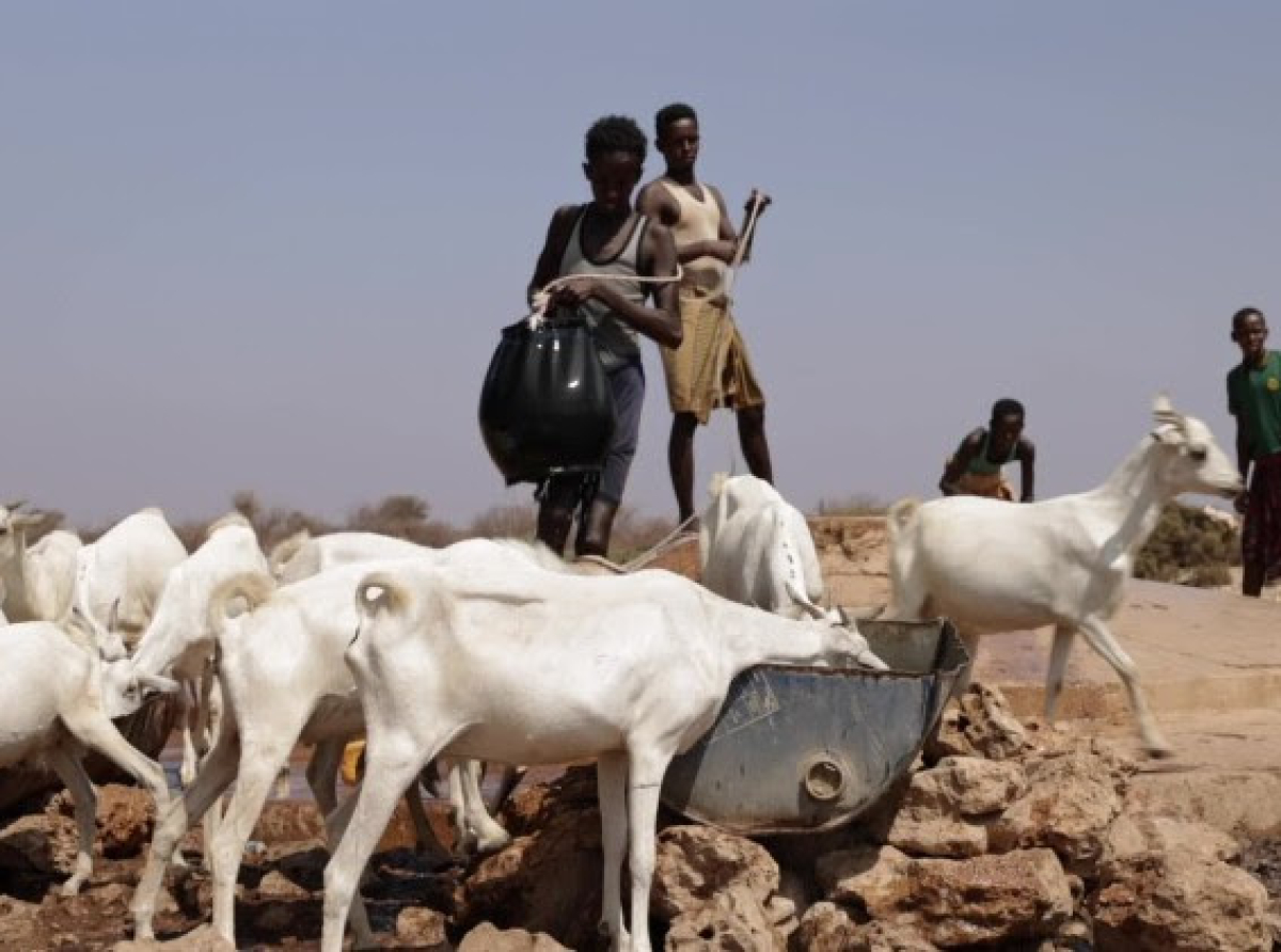 Σομαλία: Η ξηρασία θέτει εκατομμύρια σε κίνδυνο πείνας