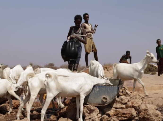 Σομαλία: Η ξηρασία θέτει εκατομμύρια σε κίνδυνο πείνας