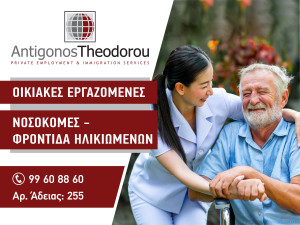 Antigonos Theodorou Immigration Services