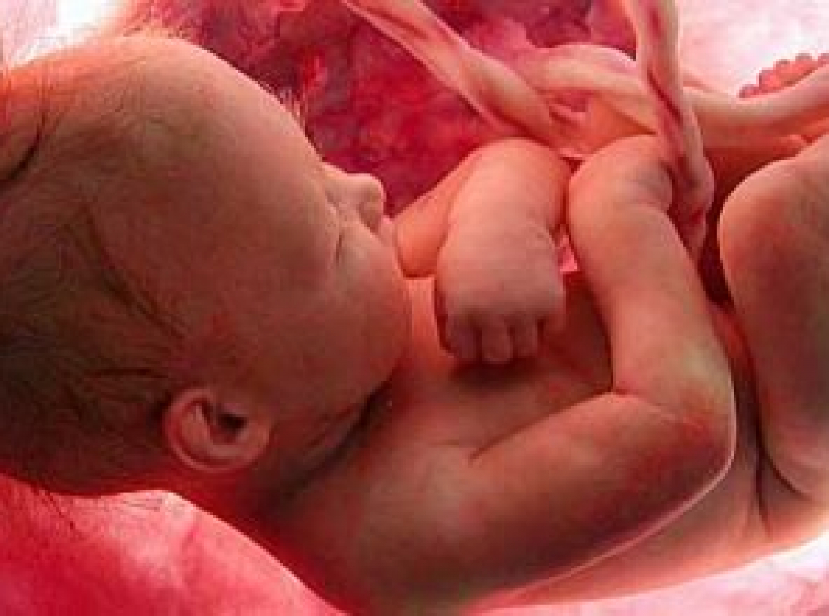 Πώς μεγαλώνει το έμβρυο στην κοιλιά της μαμάς! (βίντεο)