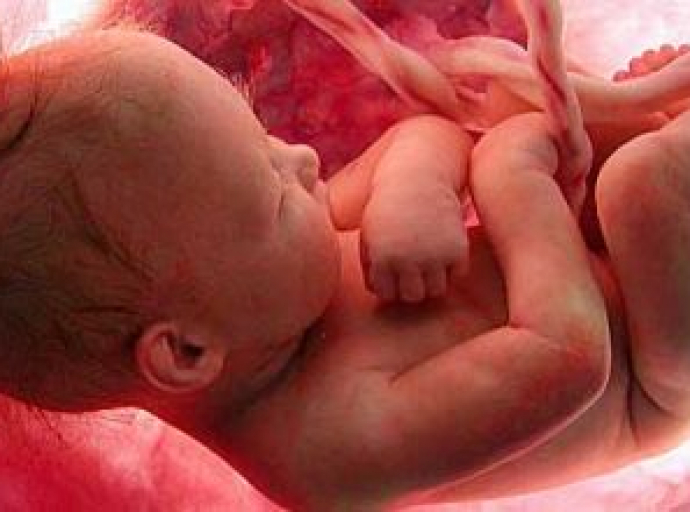Πώς μεγαλώνει το έμβρυο στην κοιλιά της μαμάς! (βίντεο)