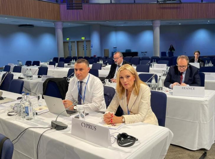 Επανεκλογή Ειρήνης Χαραλαμπίδου στον ΟΑΣΕ