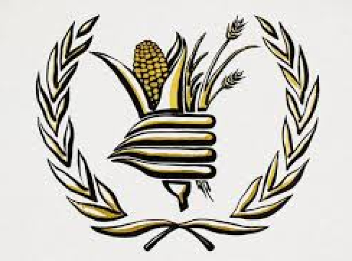 Το Παγκόσμιο Επισιτιστικό Πρόγραμμα (WFP) προειδοποιεί για επιδείνωση της πείνας στη Δυτική και Κεντρική Αφρική, καθώς οι ανάγκες φτάνουν σε νέα υψηλά επίπεδα