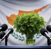 Πολιτικός μαϊντανός