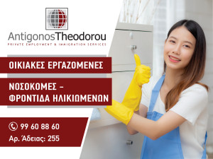 Antigonos Theodorou Immigration Services